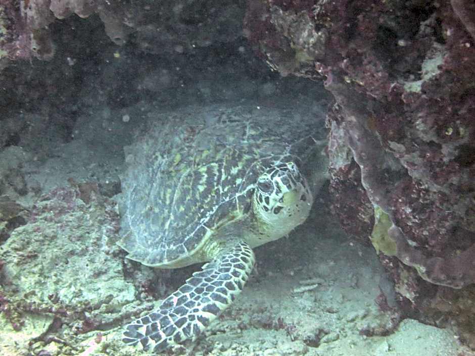 HAKS Boutique B&B with Pool & Farm-to-Table Dining