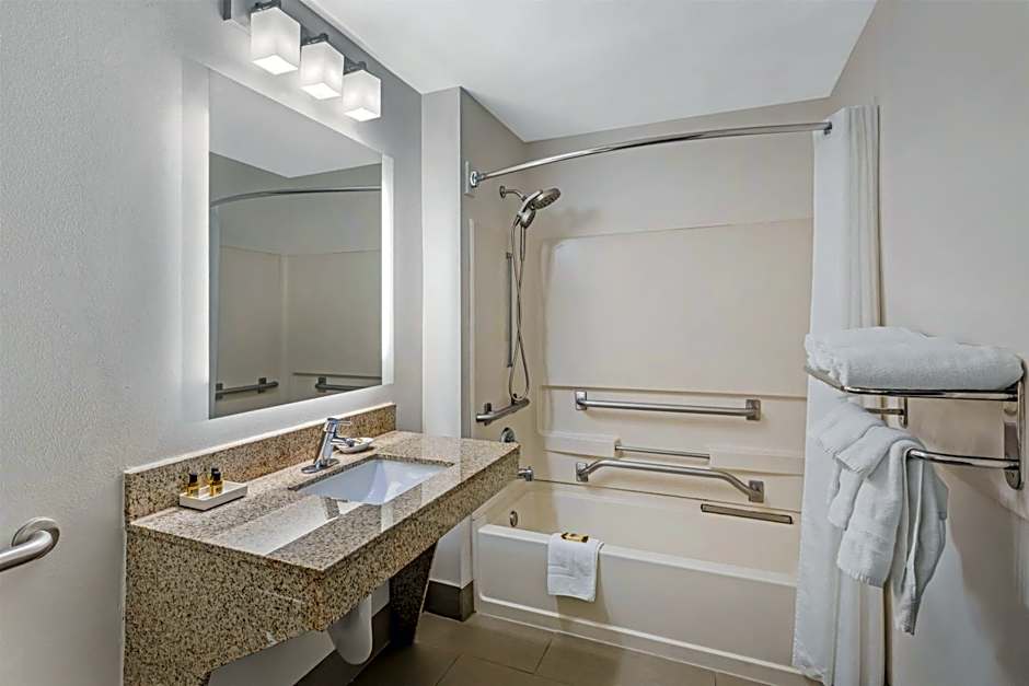 Best Western Plus McDonough Inn & Suites