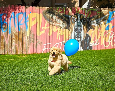 SONO PET CLUBS RESORTS VIVALDIPARK