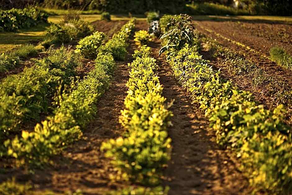 Hotel und Freizeitanlage Rauch-Hof