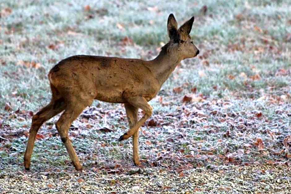 Château de Praslins