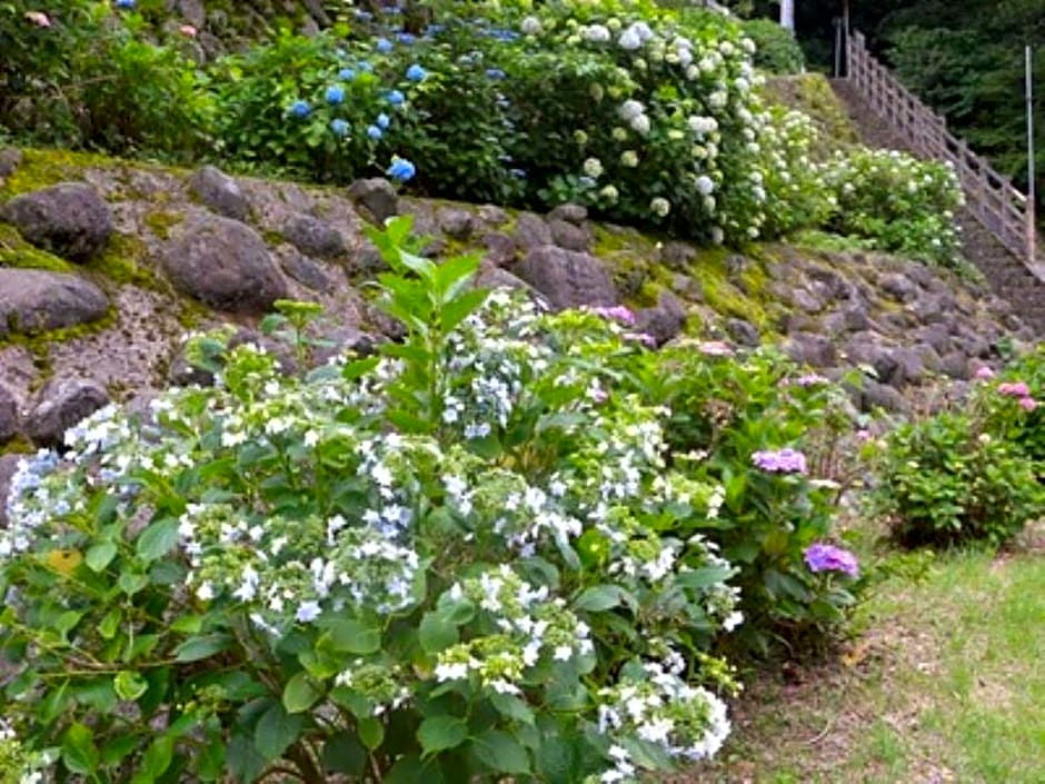 Hakone Lalaca