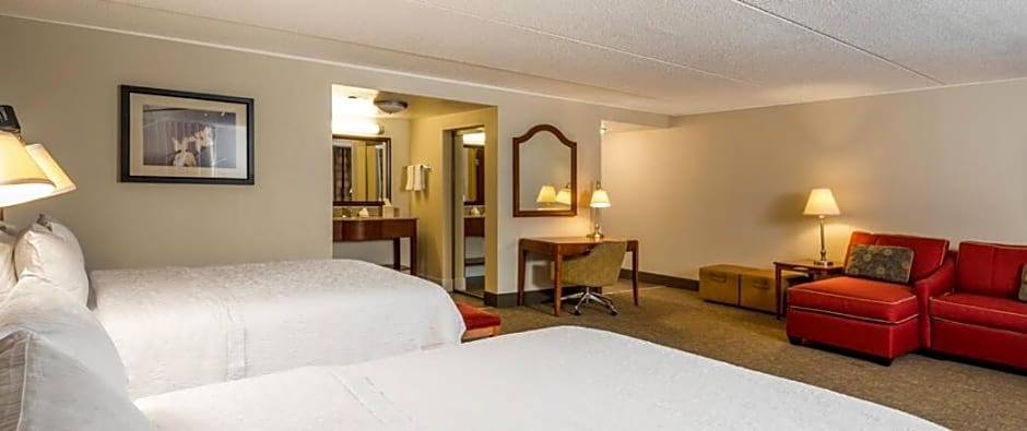 Hampton Inn Roanoke/Hollins - I-81
