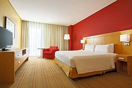 One-Bedroom King Suite