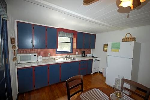 Mountain Springs Cabins