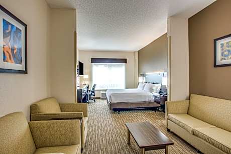 1 King Bed Suite Addl Living Area
