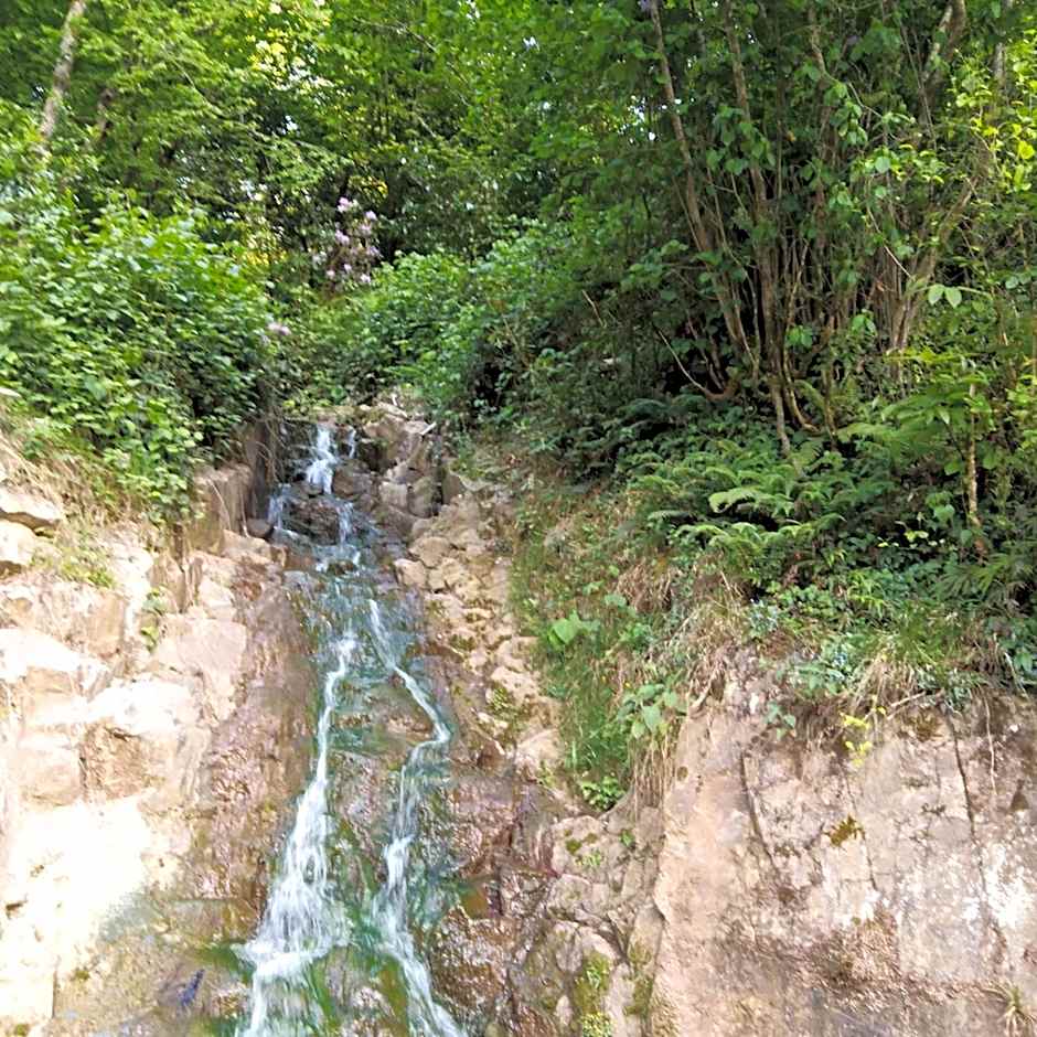 Zisto Apart Otel & Bungalows