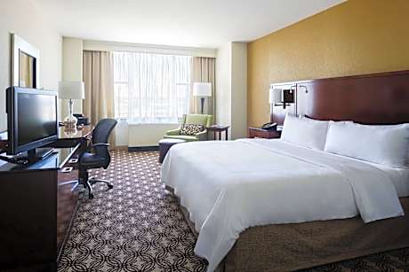 Room, 1 King Bed