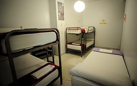 Bed in 5-Bed Mixed Dormitory