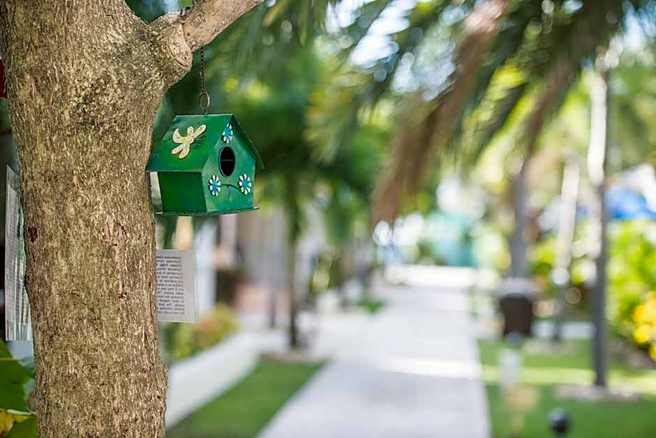 Buccaneer Beach Club