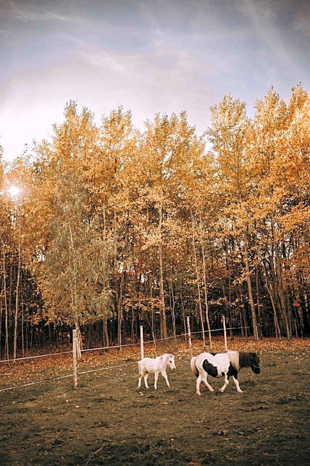 Osada Krasne - Noclegi Blisko Natury