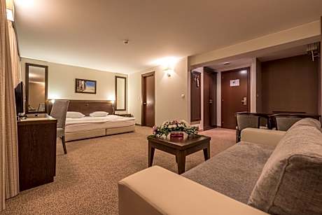 Studio with Free Spa Access