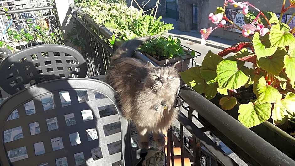 Affittacamere Erbagatta