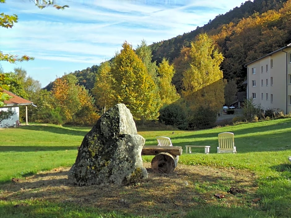 Hotel-Spa & Restaurant Logis Domaine Langmatt