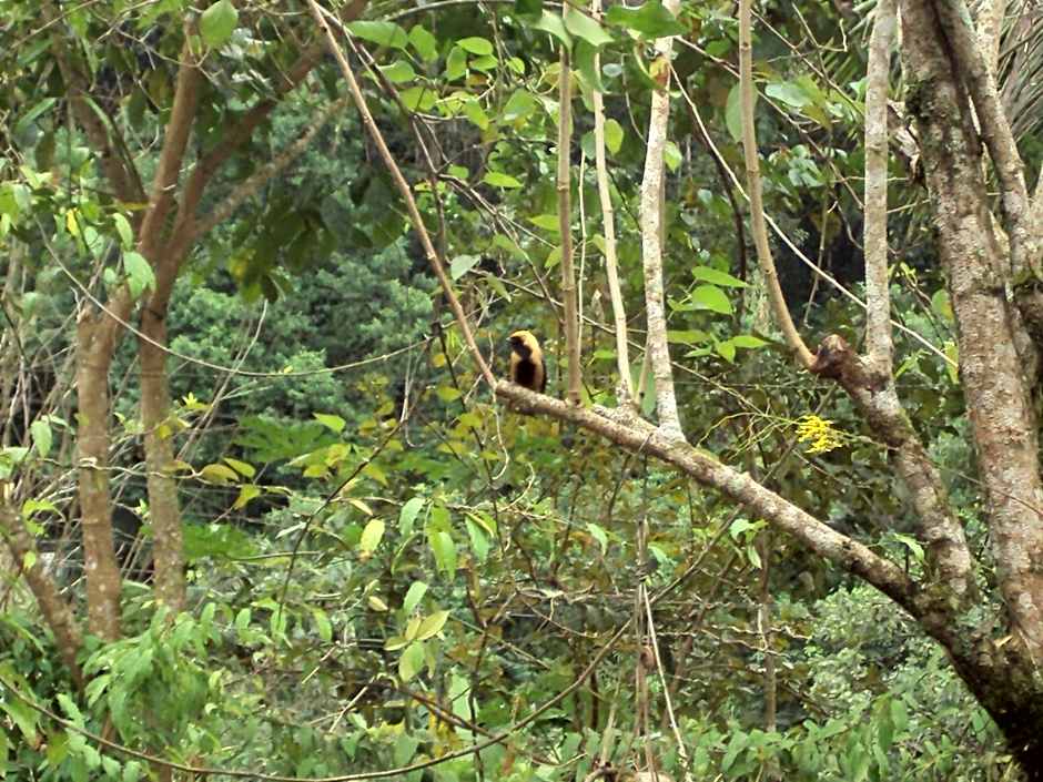 Pousada Ponte Branca