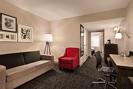 1 King Bed, Suite, Nonsmoking, Accessible
