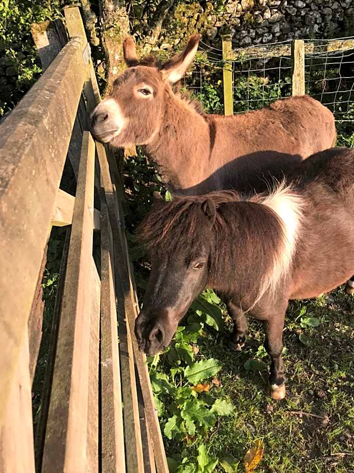 Claremont House Keswick