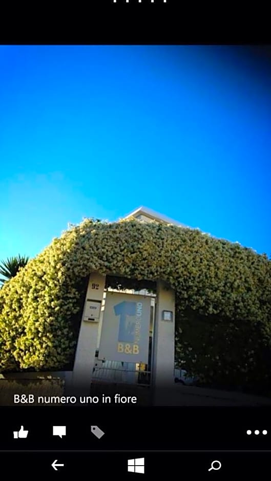 B&B Numero Uno