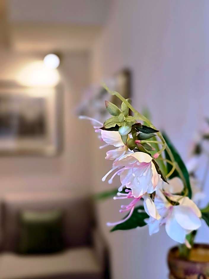 Residence Internazionale