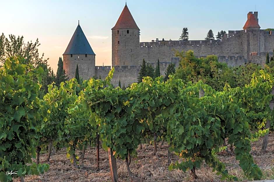 Cerise Carcassonne Sud