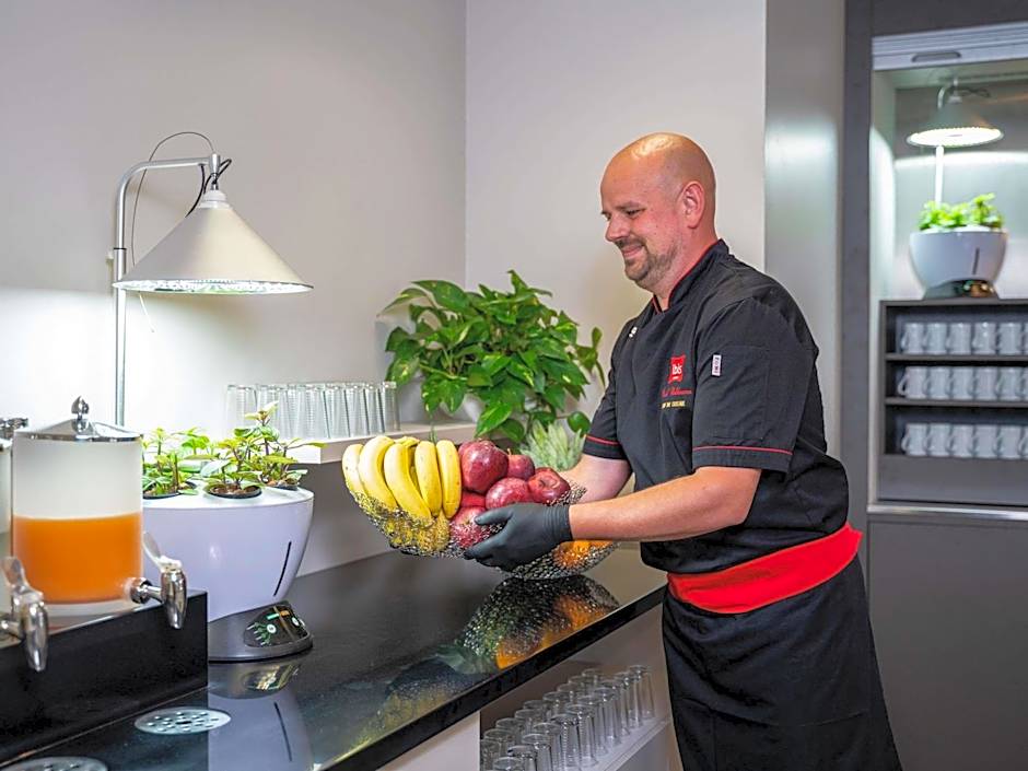 Ibis Plzen