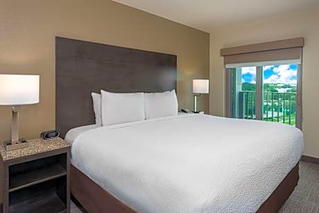 Suite-1 King Bed  Non-Smoking Sofabed Microwave And Refrigerator Flat Screen Television Coffee Maker