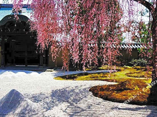 A Leaf Inn