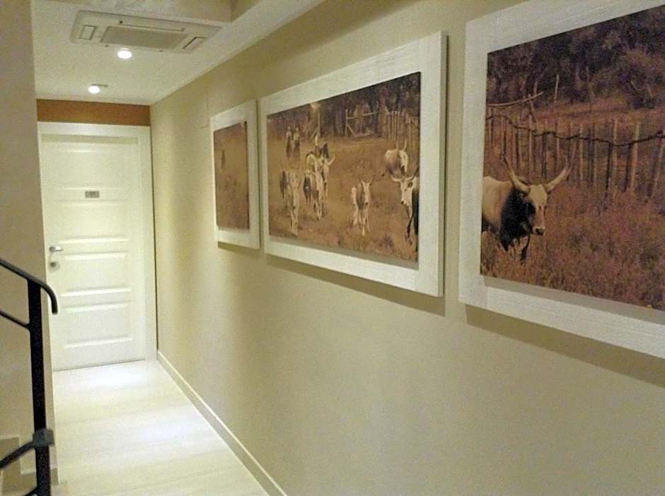 Hotel C'era Una Volta