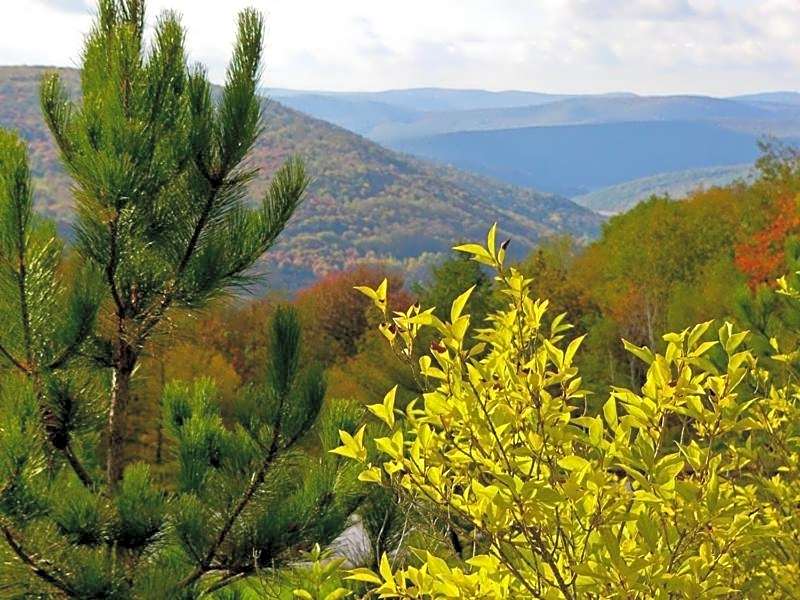 Winter Clove Family Inn