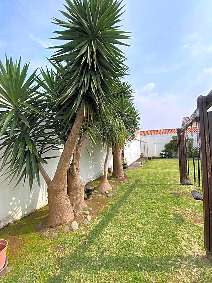 Apartamentos São João