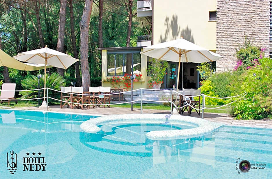 Hotel Nedy
