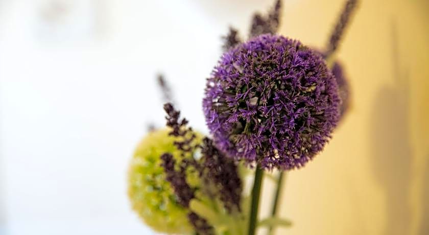 Velvet 2-bedroom apartment Clock House - Hoddesdon