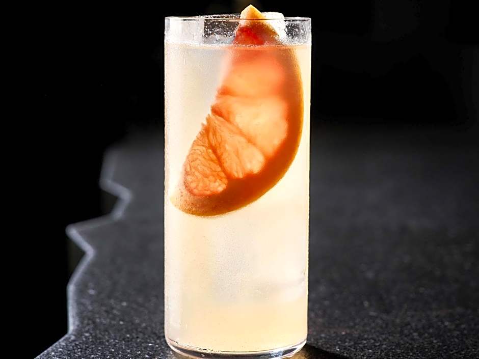 Pullman Paris Montparnasse