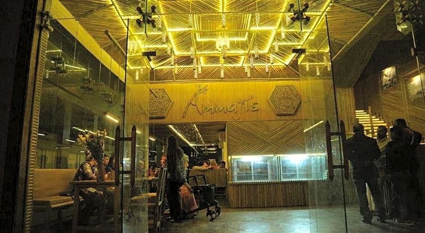 Ammaji's Inn