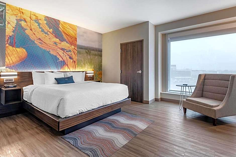 Cambria Hotel Bloomington Mall of America Minneapolis Airport
