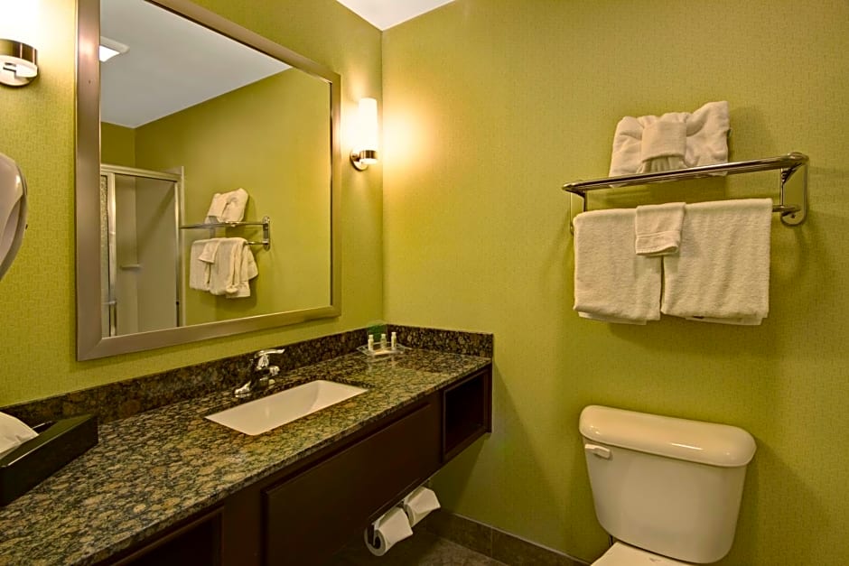 Holiday Inn Christiansburg Blacksburg