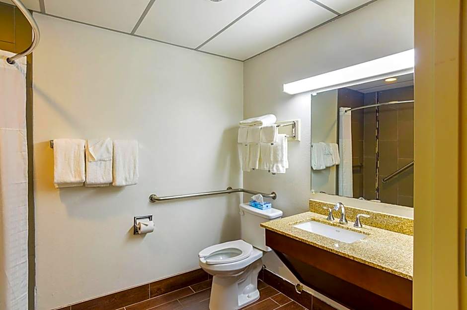 Photo 1 of 5 of 1 King Bed Suite, Accessible, Bathtub