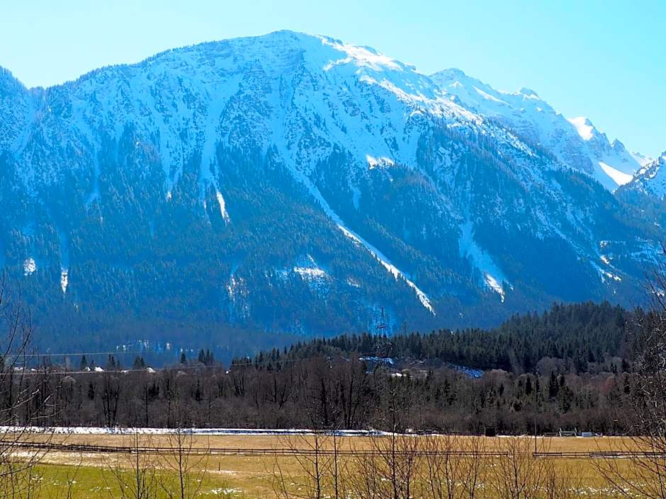 Haflingerhof Appenstein
