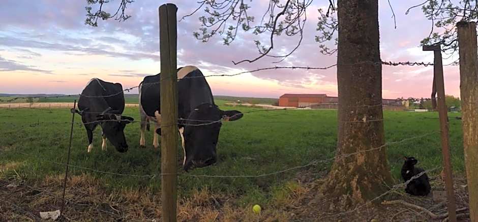 Logis Hotel La Grange Du Relais