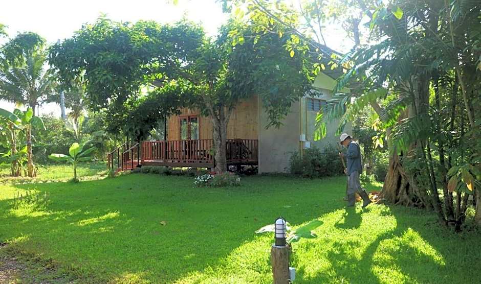 Chiang Dao Reset