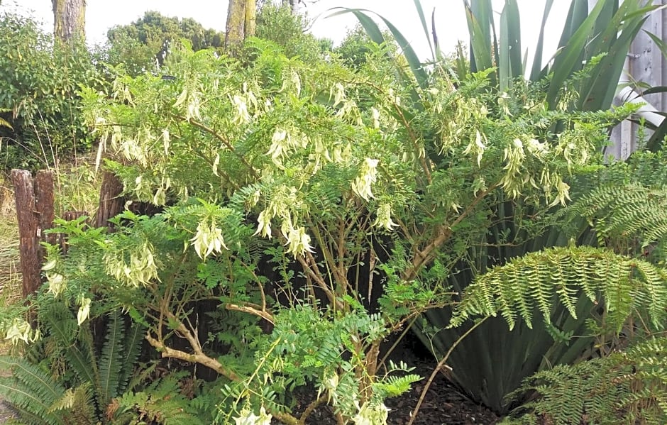 Kaka Retreat Motel, Stewart Island