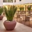 City Express Plus by Marriott Ciudad de México Insurgentes Sur