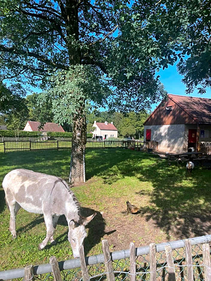 Nice 3-bedroom house with lake view