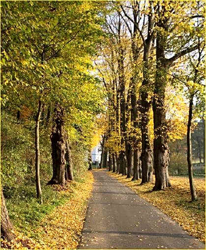 Hotel Fürstenberger Hof