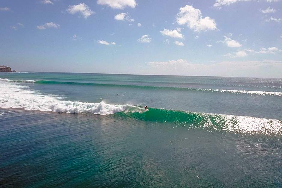Rock'n Reef