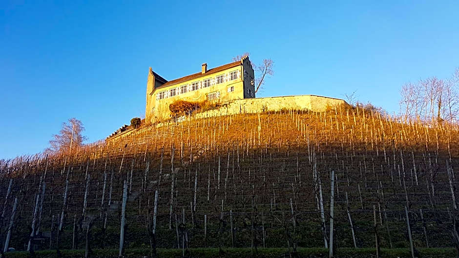 Hotel & Restaurant Schloss Schwandegg