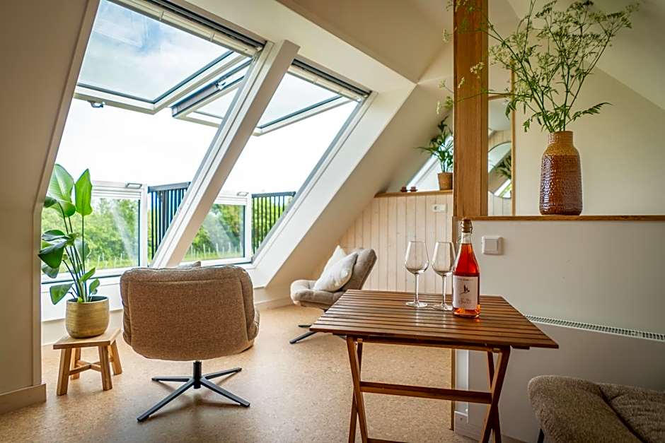 Wijngaard de Kroon van Texel