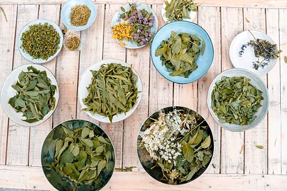 Casa del Parco Adamello