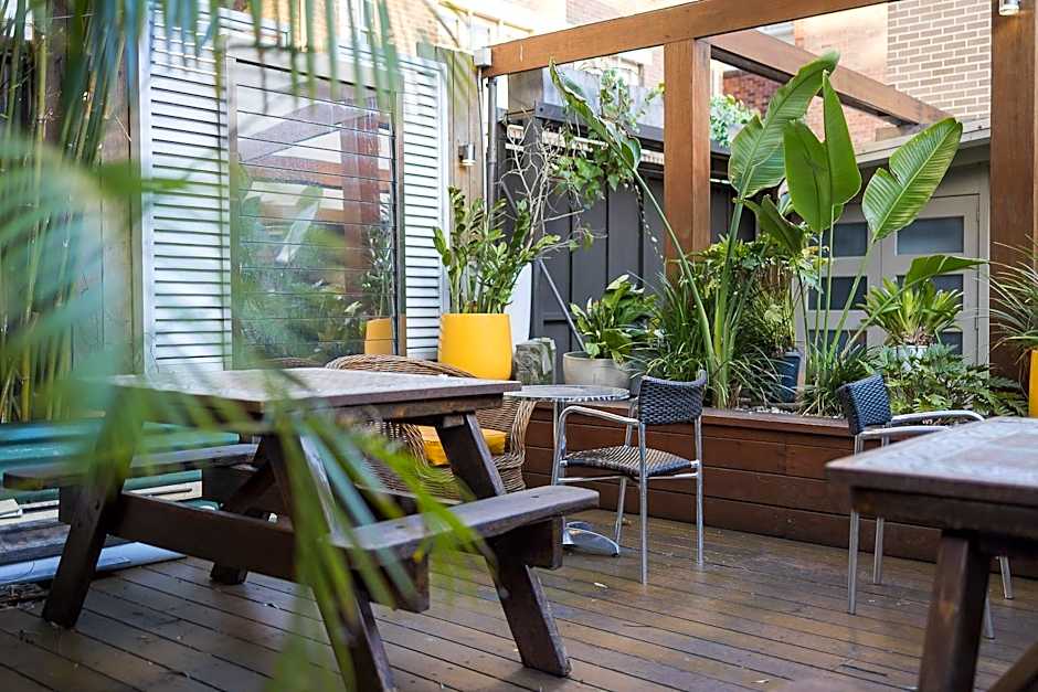 London Plane Backpackers