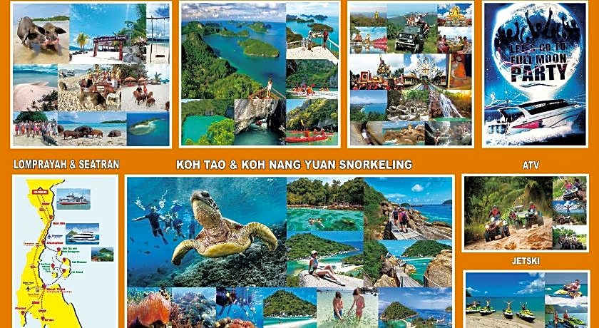 Cheeky Monkey's Samui